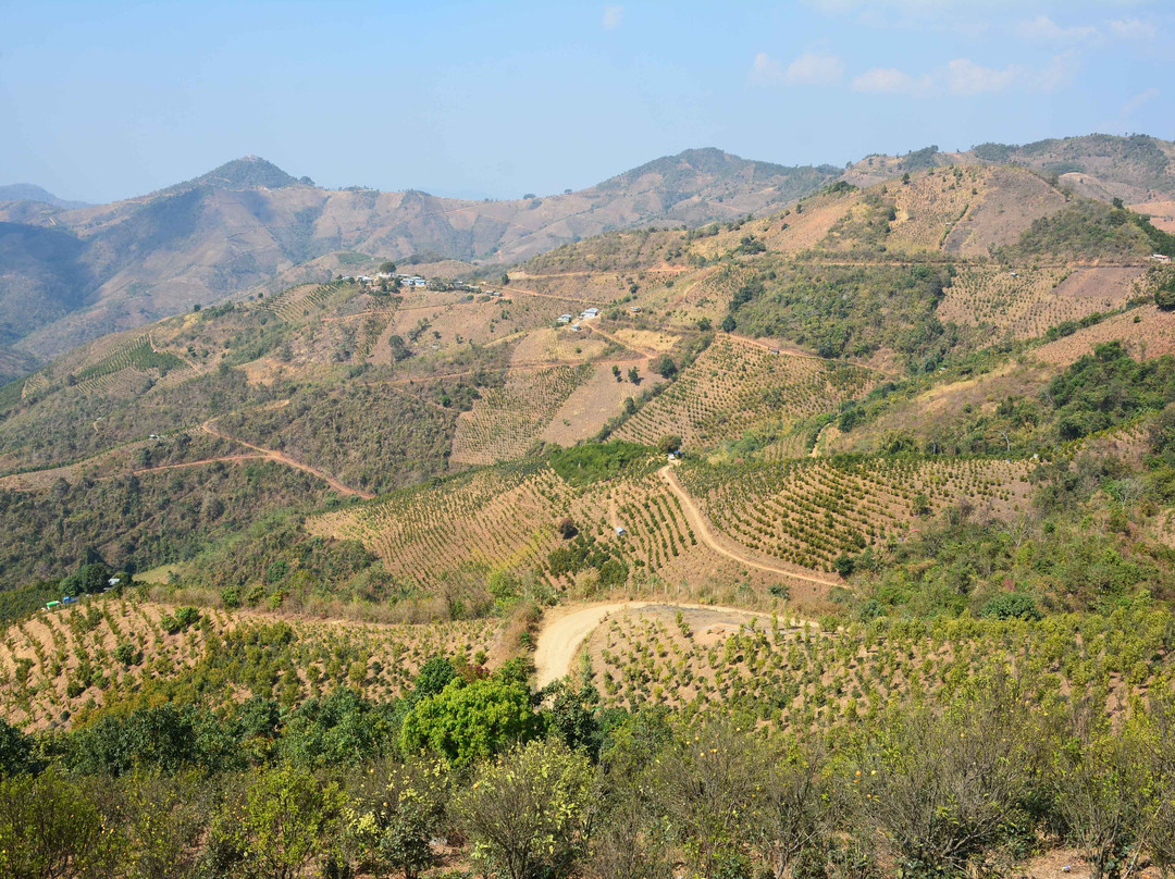 Kalaw Viewpoint Cafe
