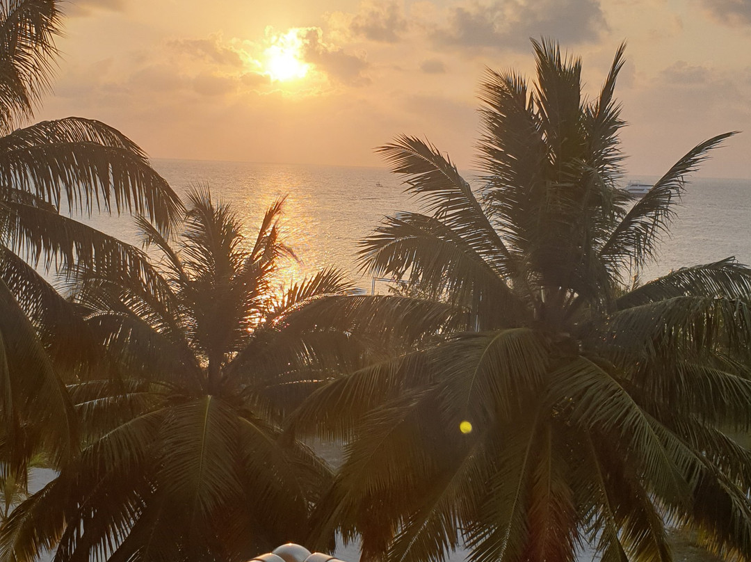 Marina Sunset View主图