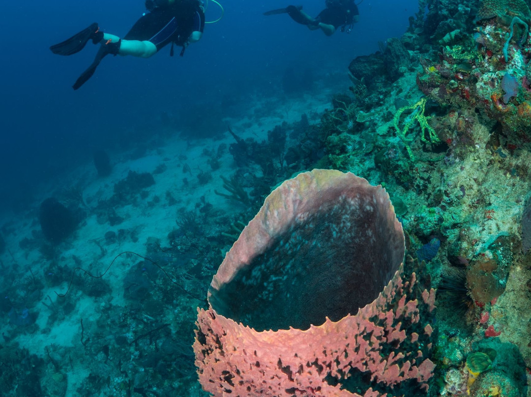 Kawan Plongee-圣吕斯必去景点