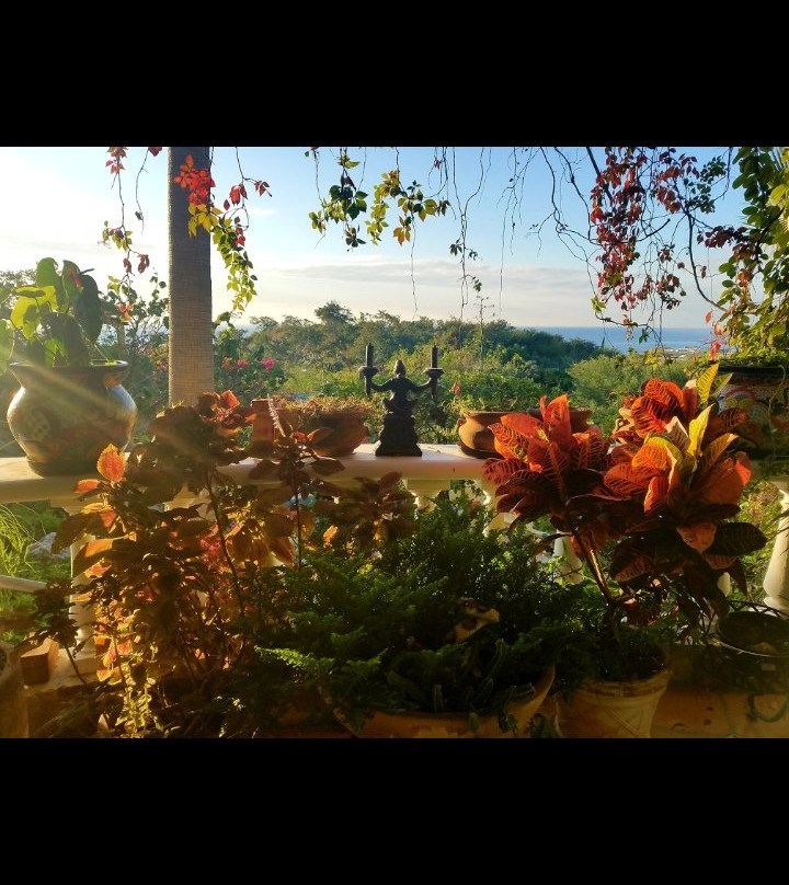 Rukhsana's Wellness Heavenly Retreat景点图片