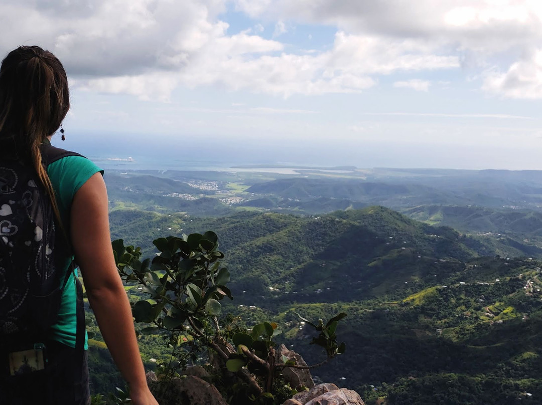 Cerro El Rodadero-Yauco必去景点