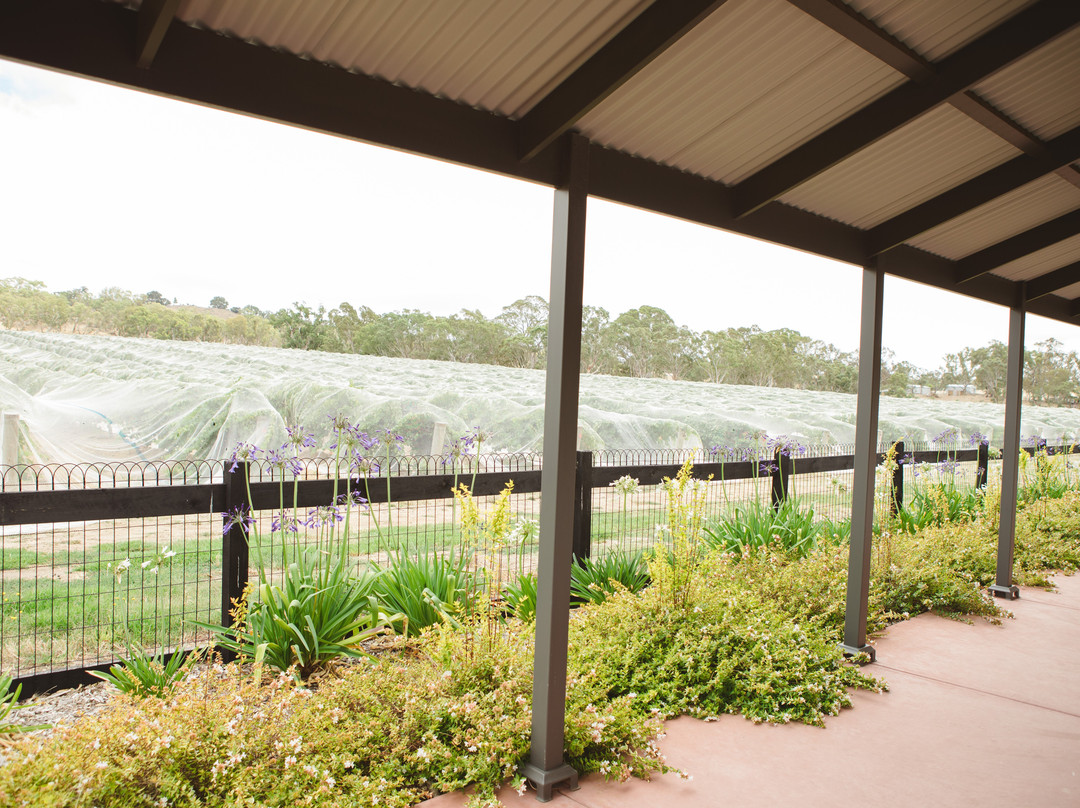 Brockenchack Vineyard Bed & Breakfasts主图