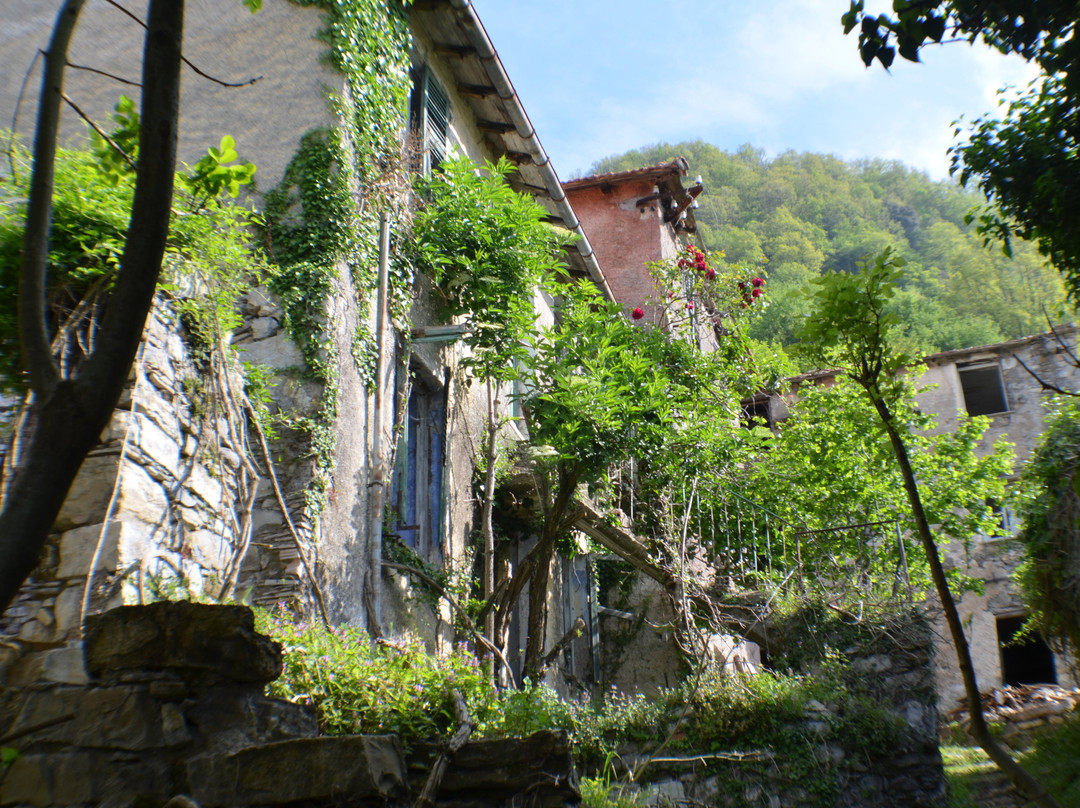 Canate di Marsiglia景点图片