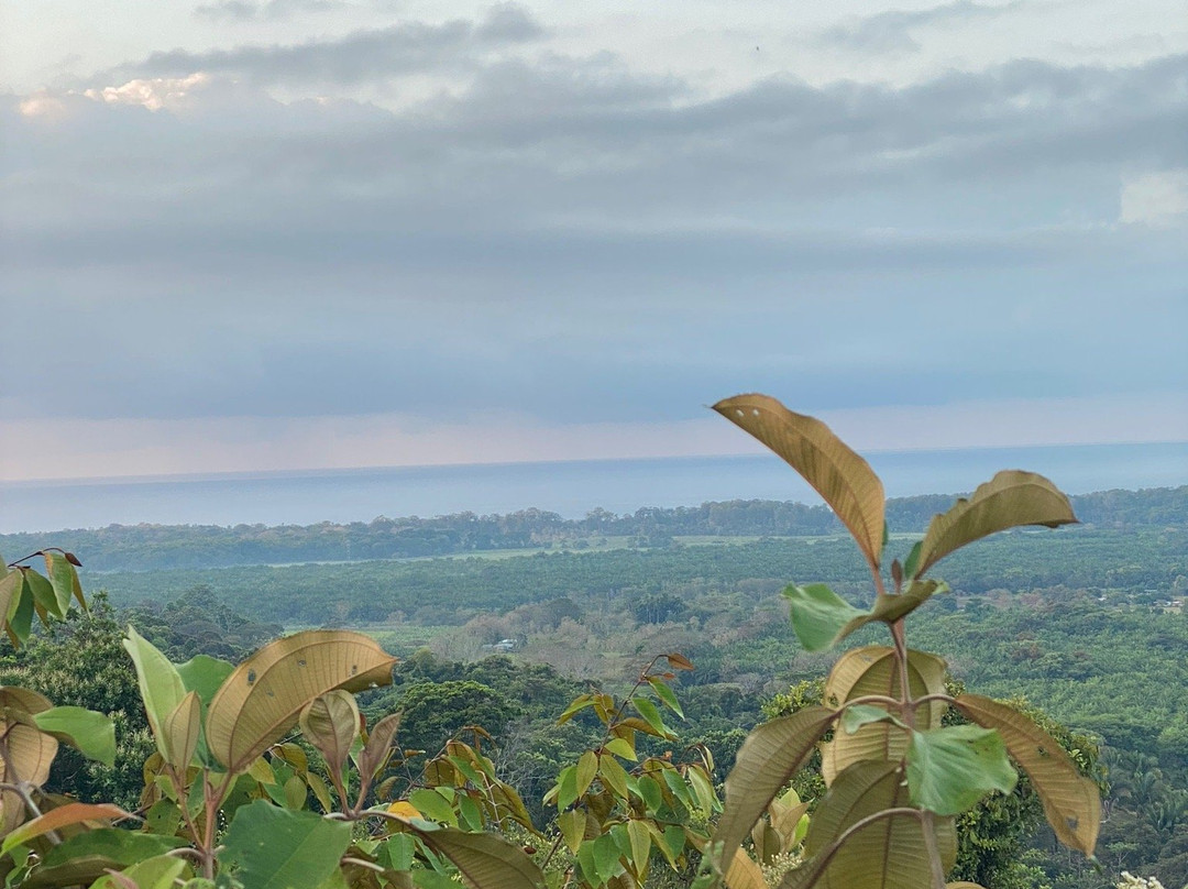 La Palapa Eco Lodge Resort主图