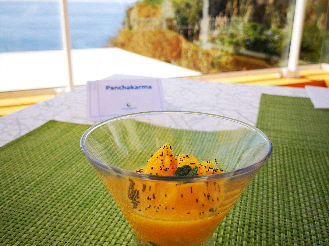 Hotel Alpino Atlantico Ayurveda Cure Centre主图