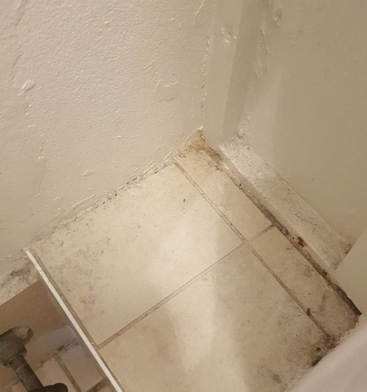 格林威治酒店主图