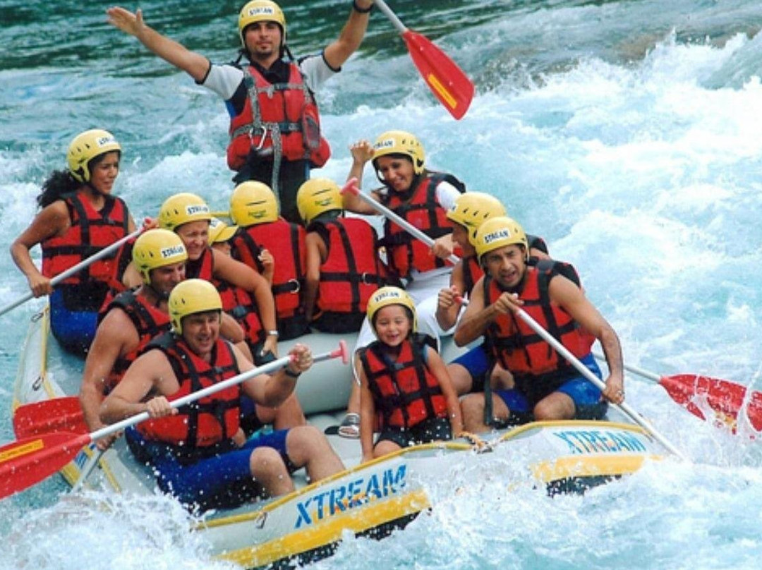Alibaba Tortuga Travel Agency景点图片
