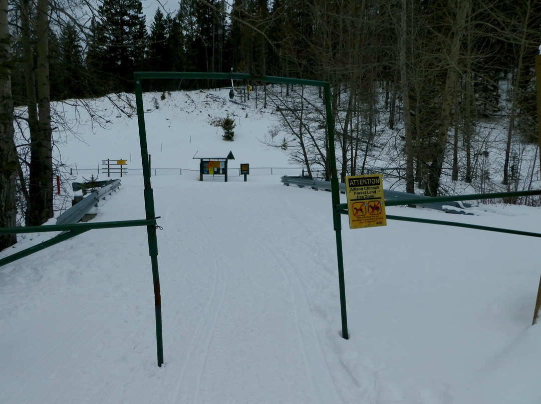 Allison Lake Cross Country Ski Trails-科尔曼必去景点