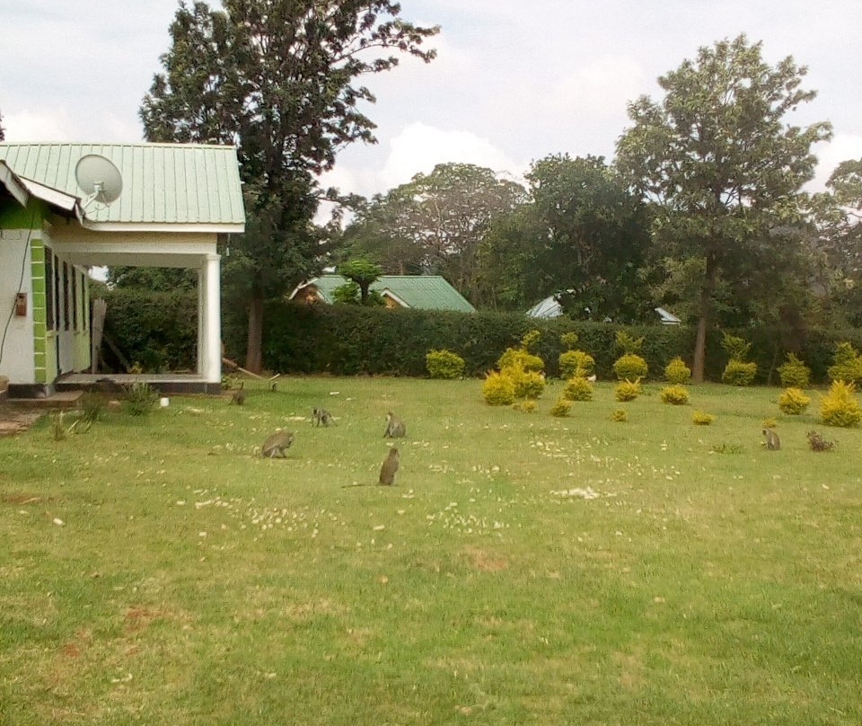 Mount.Elgon Adventures-Sipi必去景点