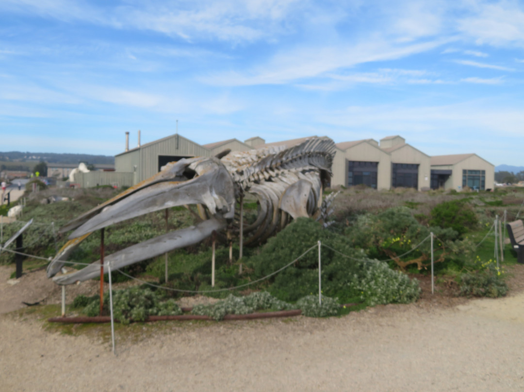 Seymour Marine Discovery Center景点图片