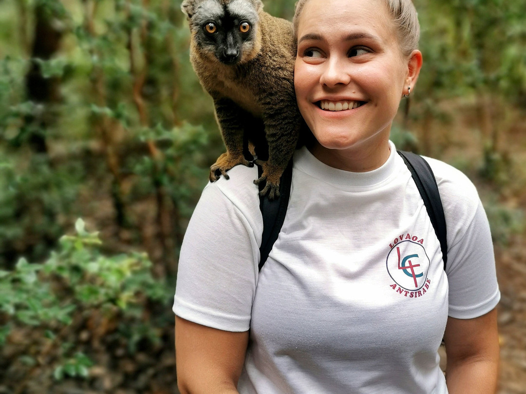 Madagascar Magic Tours景点图片