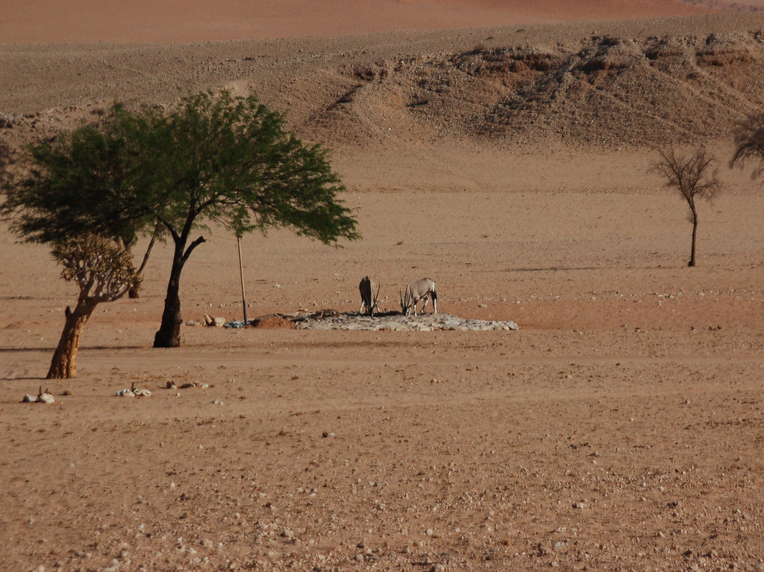 Sossus On Foot Desert Tours-苏丝斯黎必去景点