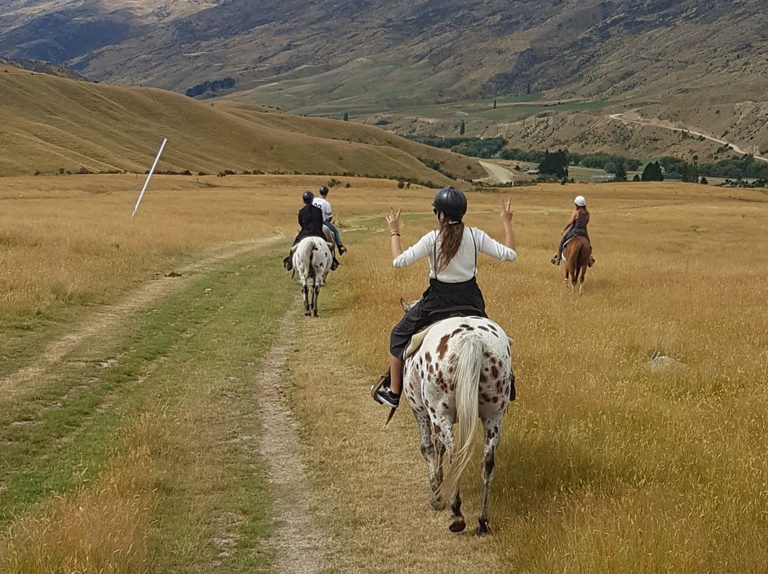 Back Country Saddles景点图片