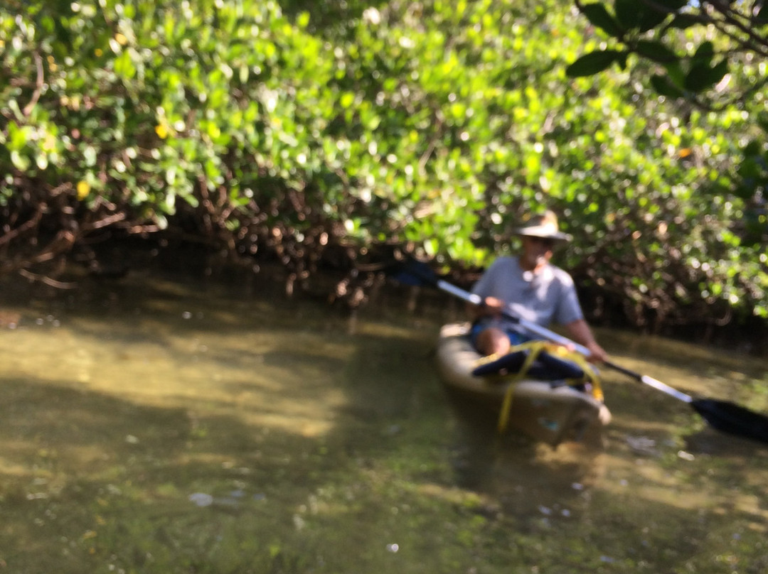 Don Pedro Island State Park-Cape Haze必去景点