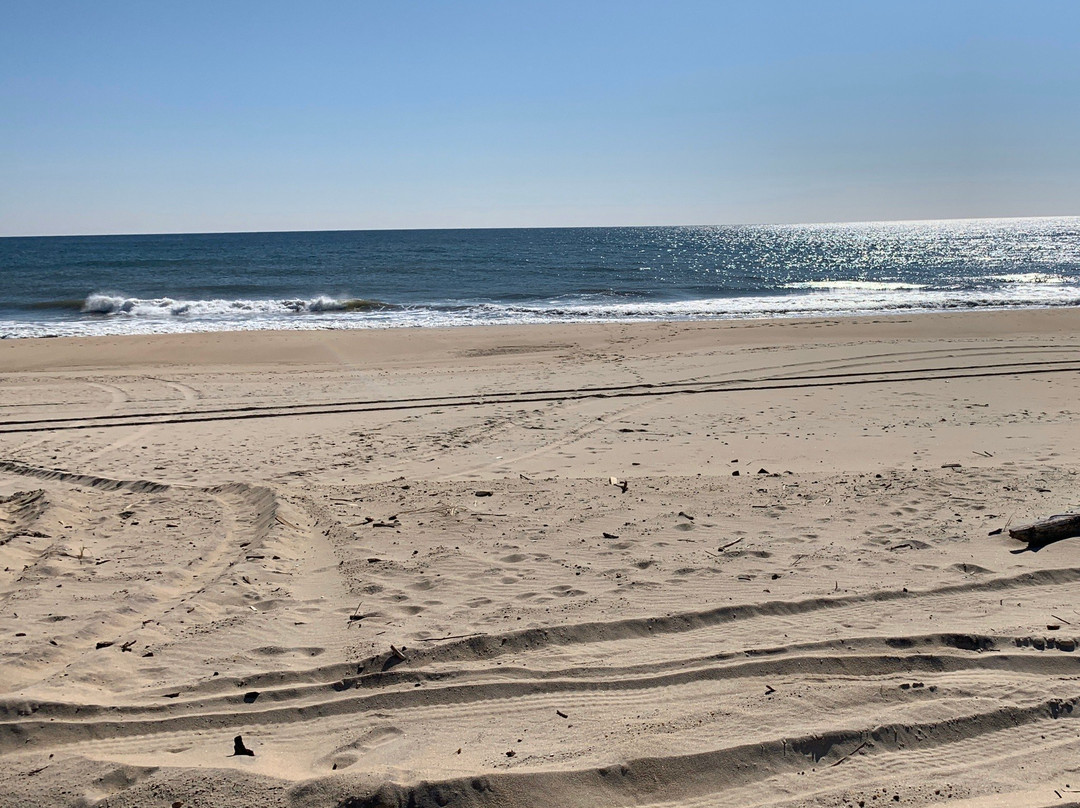 Kirk Park Beach-蒙托克必去景点