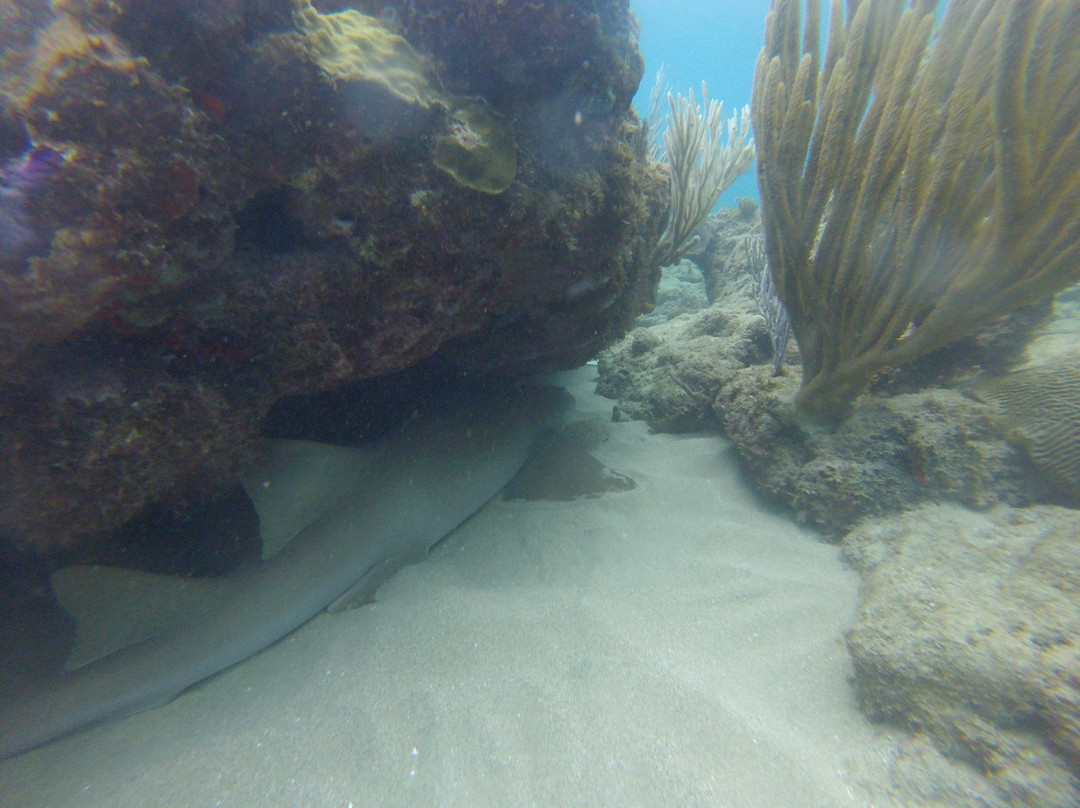 413 Divers-吕康必去景点