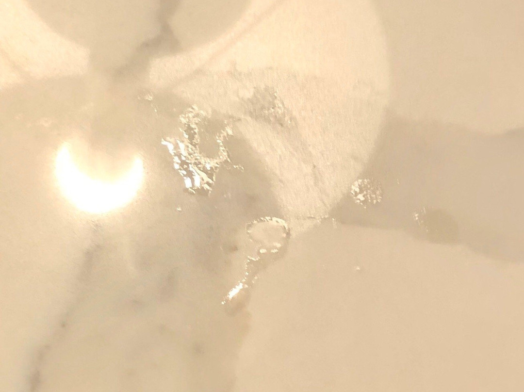 波特兰塞布尔奥克斯万豪酒店主图