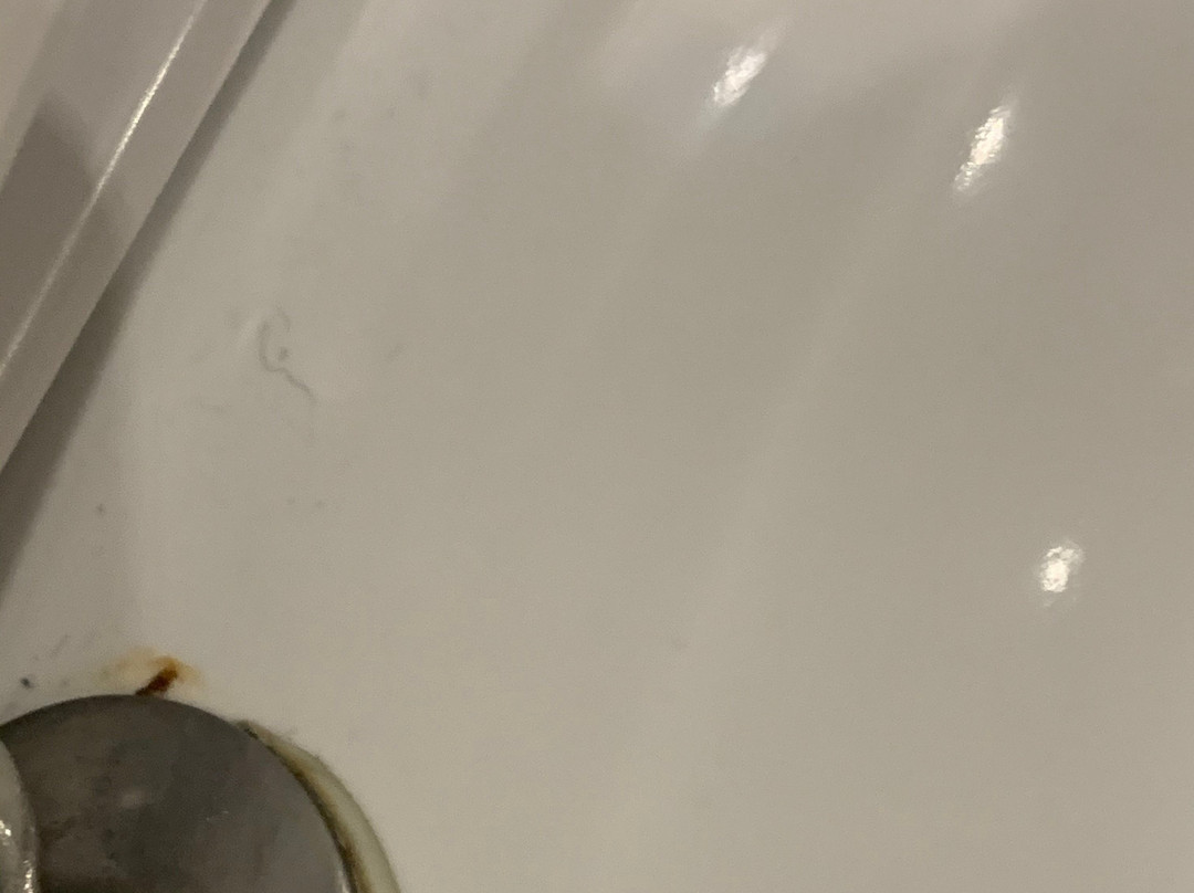 伦敦希尔顿温布利酒店主图