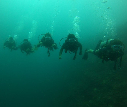 SK Divers Center-拉普拉普必去景点