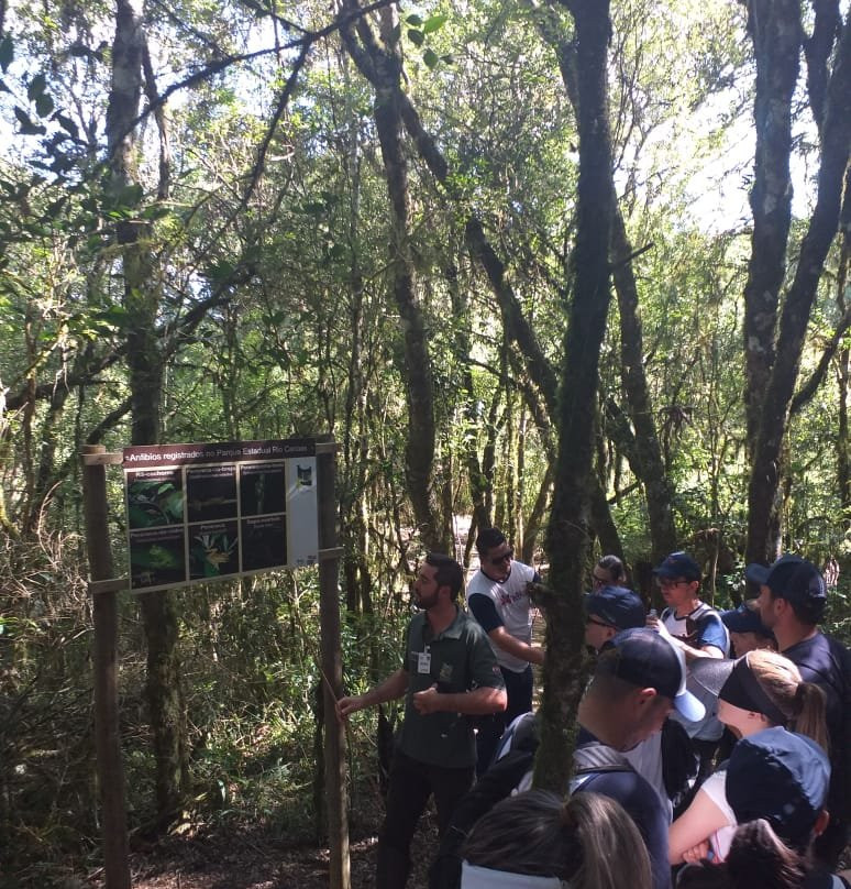Parque Estadual Rio Canoas-Campos Novos必去景点