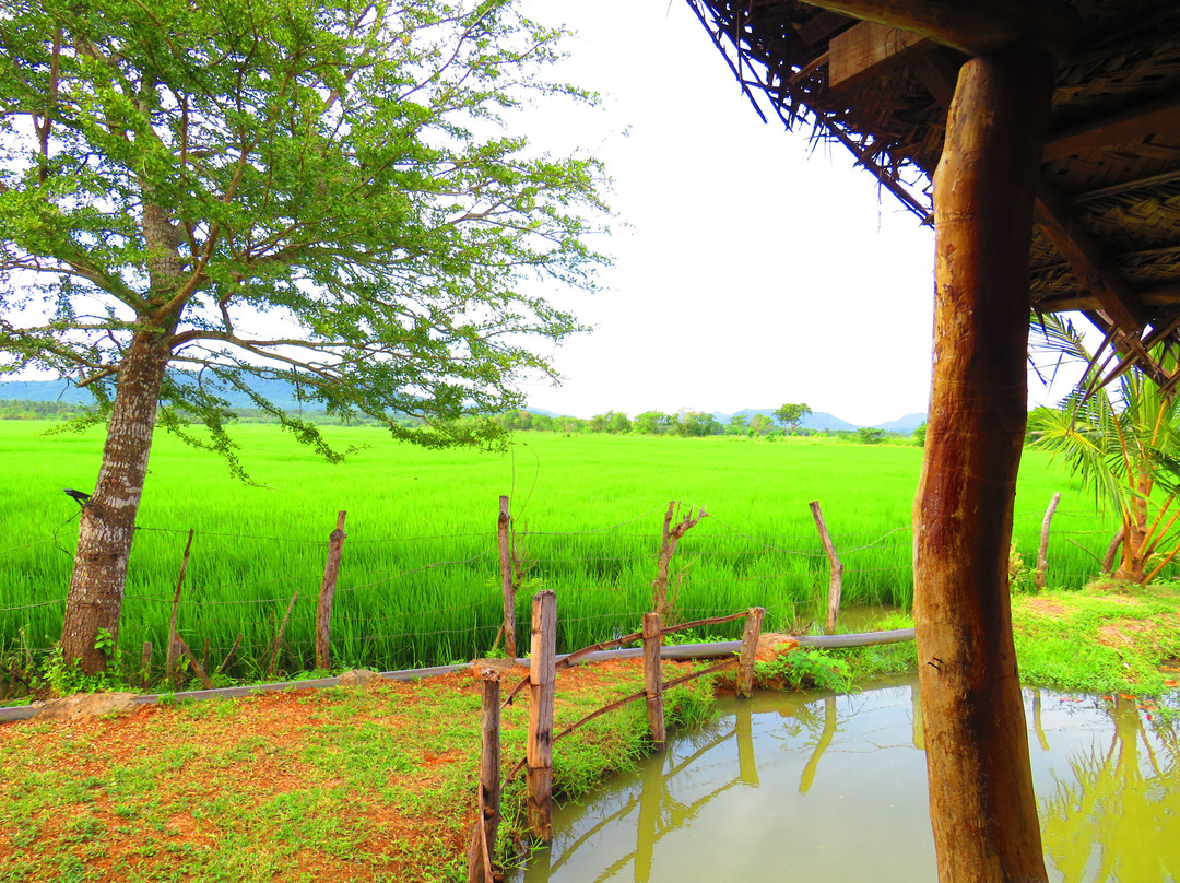 可爱蜜蜂酒店主图