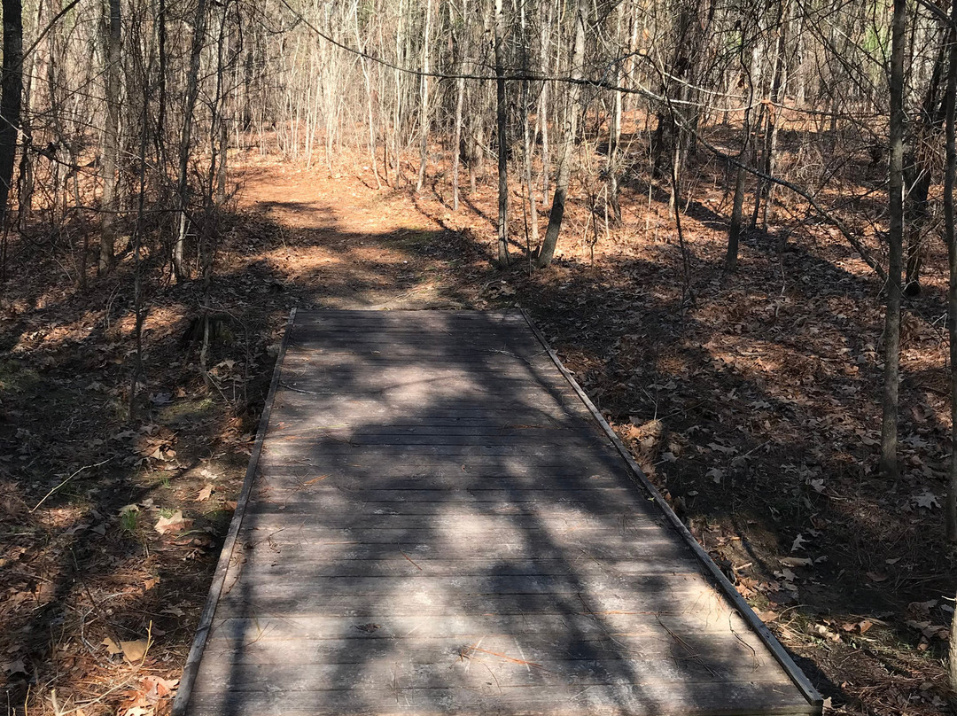 Harbison State Forest-哥伦比亚必去景点