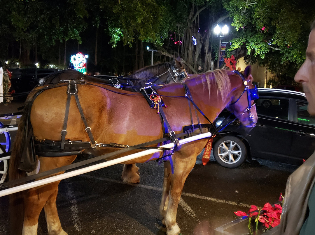St Petersburg Carriages-圣彼德斯堡必去景点