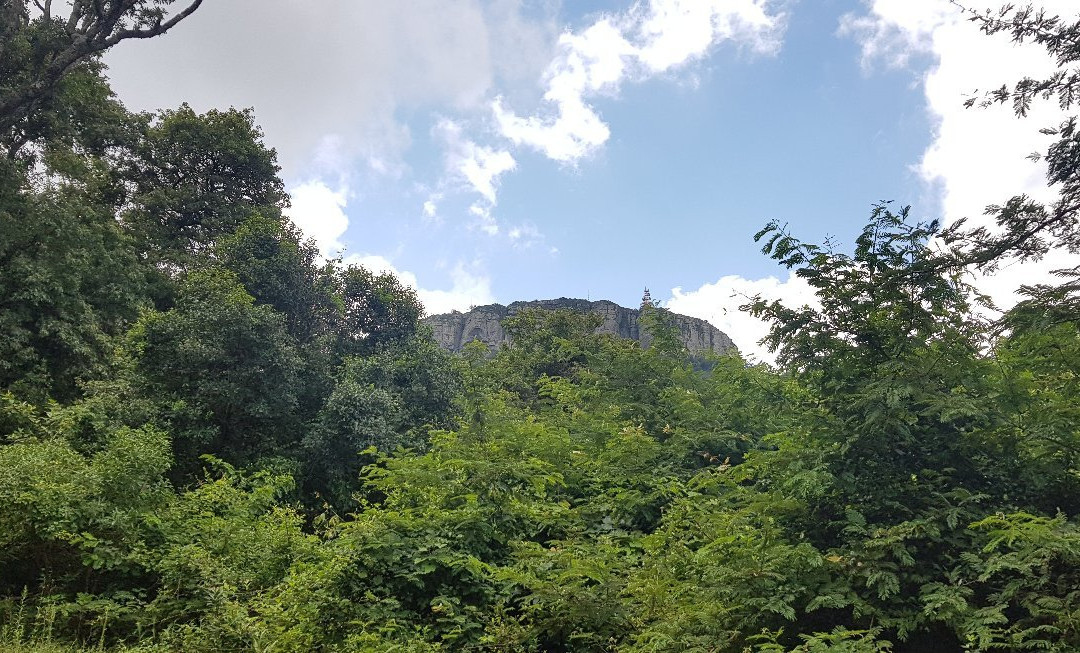 Hanglip Forest Reserve-路易特里哈特必去景点