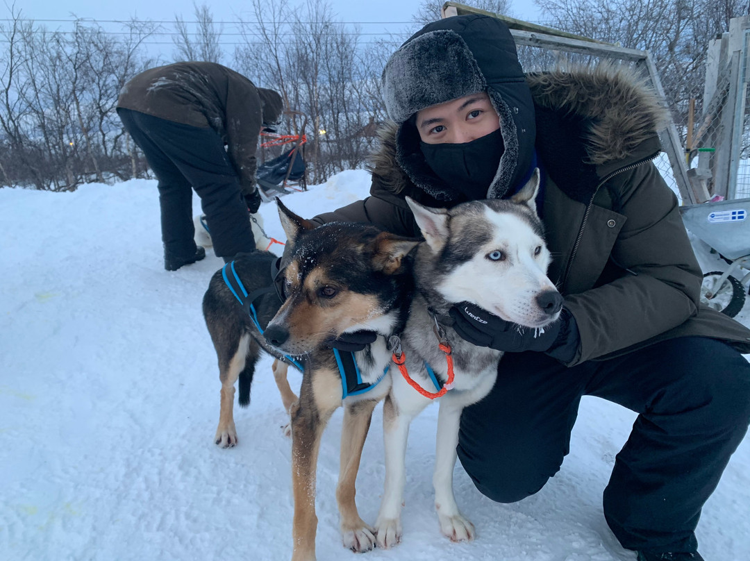Abisko Net Hostel & Huskies