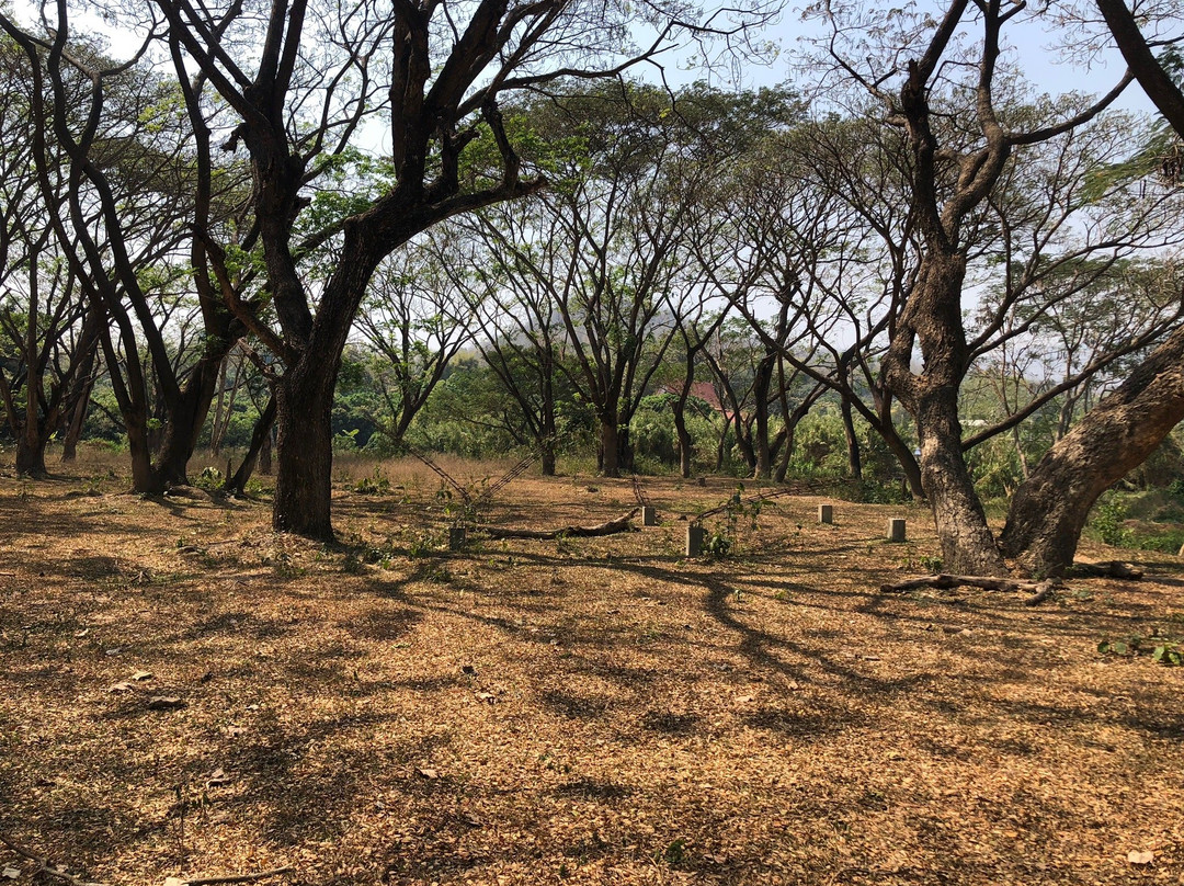 Maeklang Elephant Conservation Community景点图片