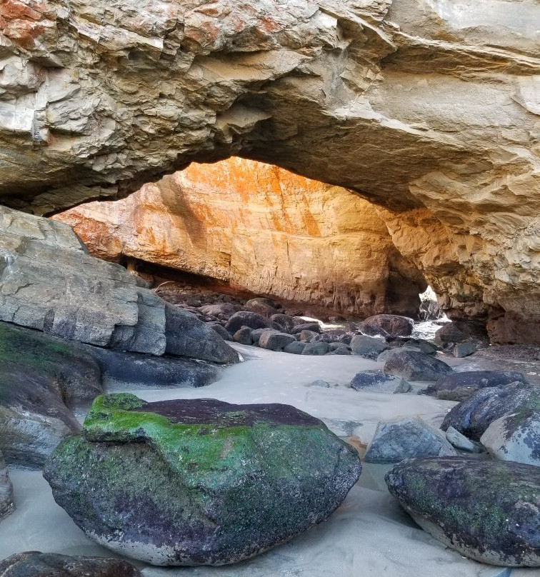 Otter Crest Marine Gardens-Otter Rock必去景点