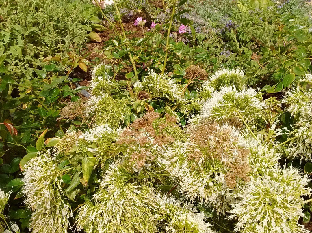 Montagu Museum-蒙提古必去景点