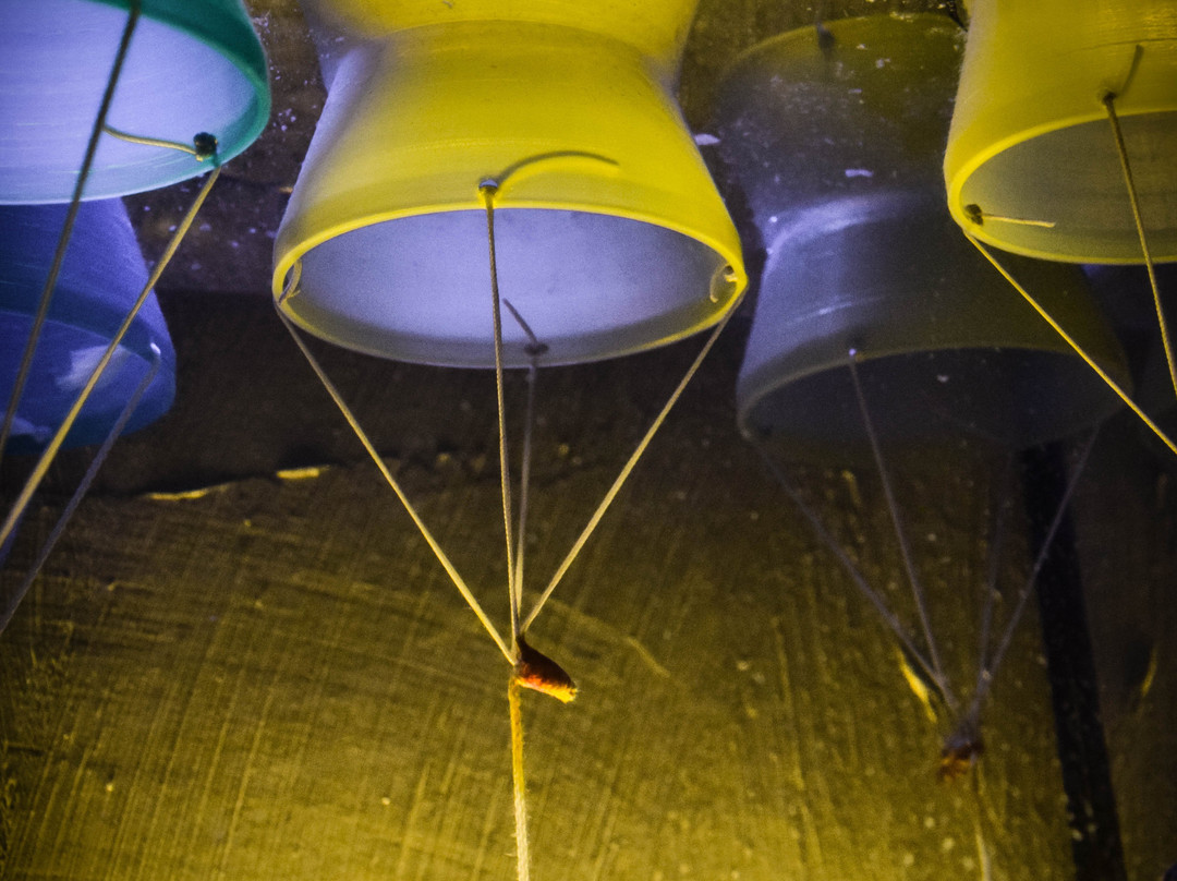 PlayTheGame-Escape-茵斯布鲁克必去景点