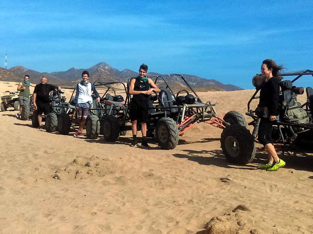 Los Cabos Passport-卡波圣卢卡斯必去景点