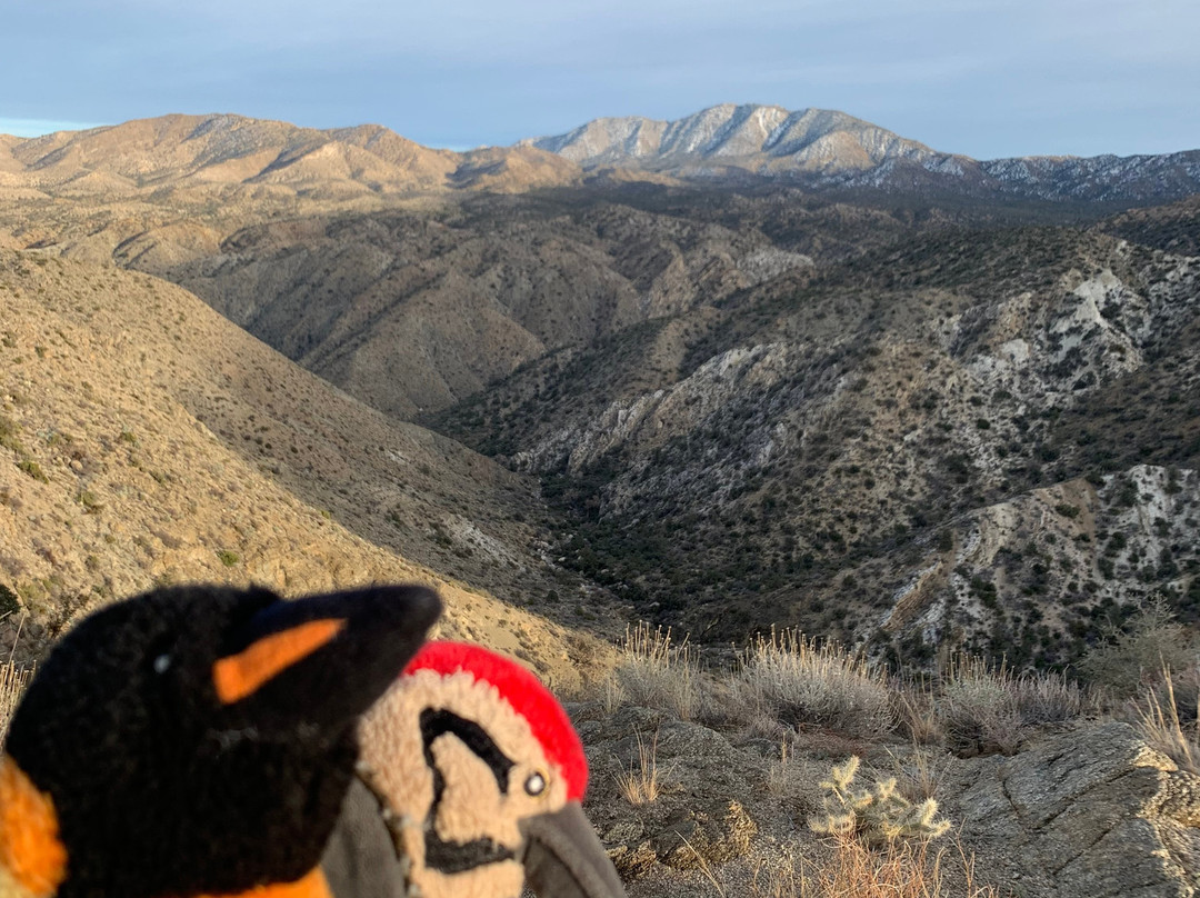 San Bernardino National Forest-圣贝纳迪诺必去景点