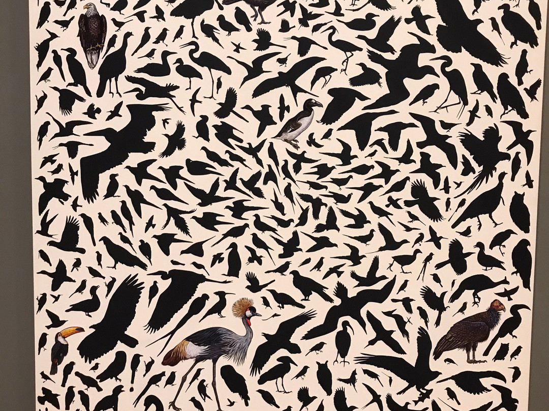 Amon Carter Museum of American Art-沃思堡必去景点