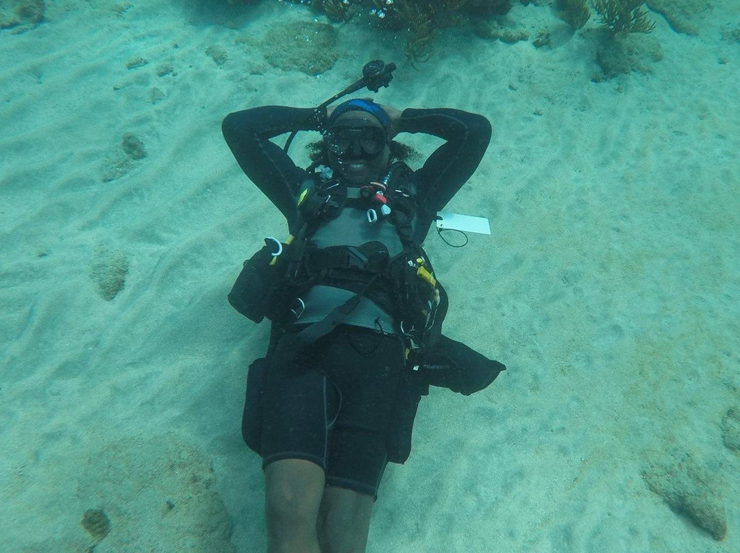 Just Keep Dive'N-多巴哥必去景点