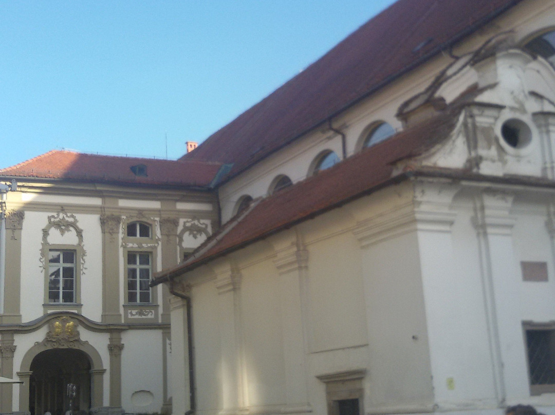 Regional Museum Maribor-马里博尔必去景点
