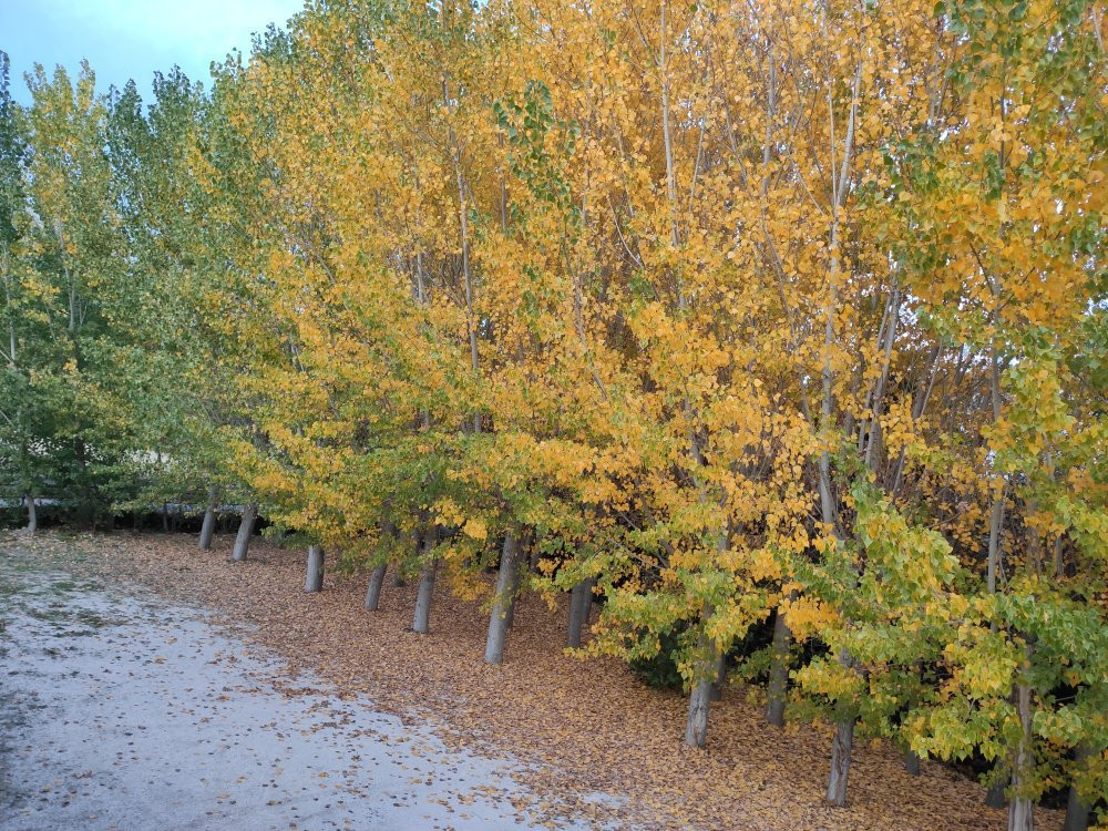Casa Rural Molino de Abajo主图