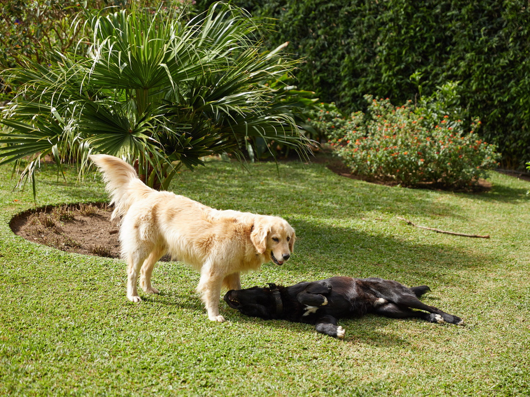 Casa Batsu Bnb主图