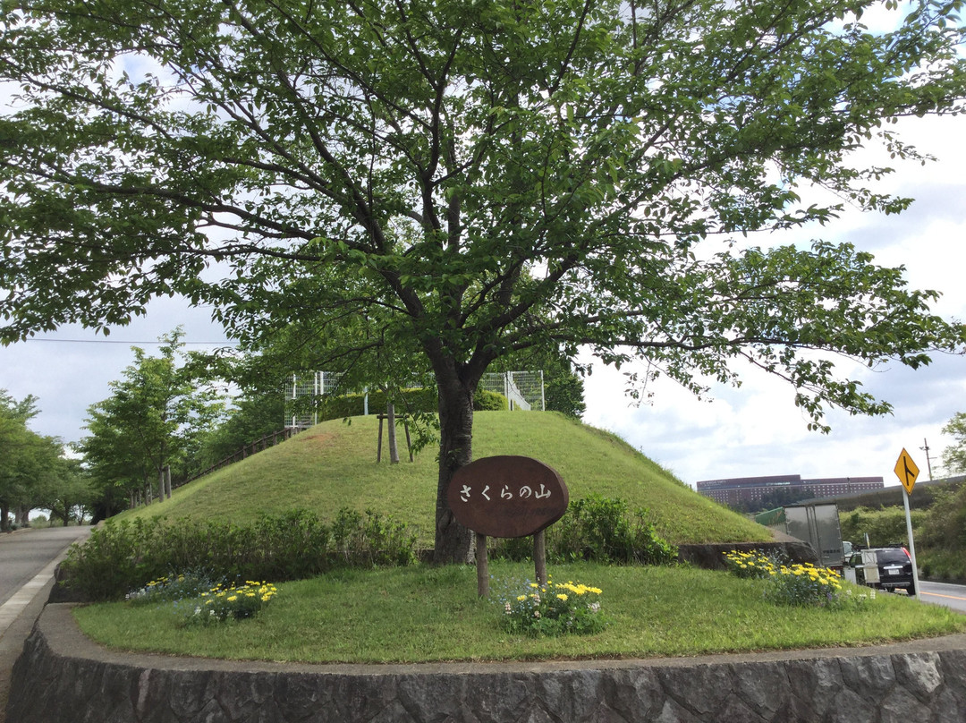 Sakura no yama Park-成田市必去景点