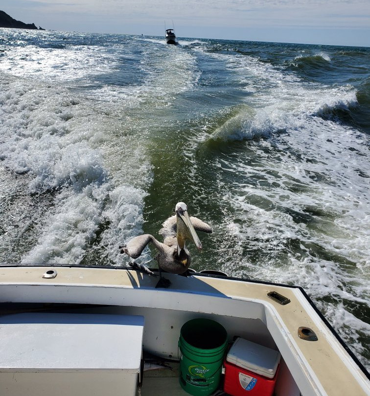 Star Fleet Sportfishing-马萨特兰必去景点