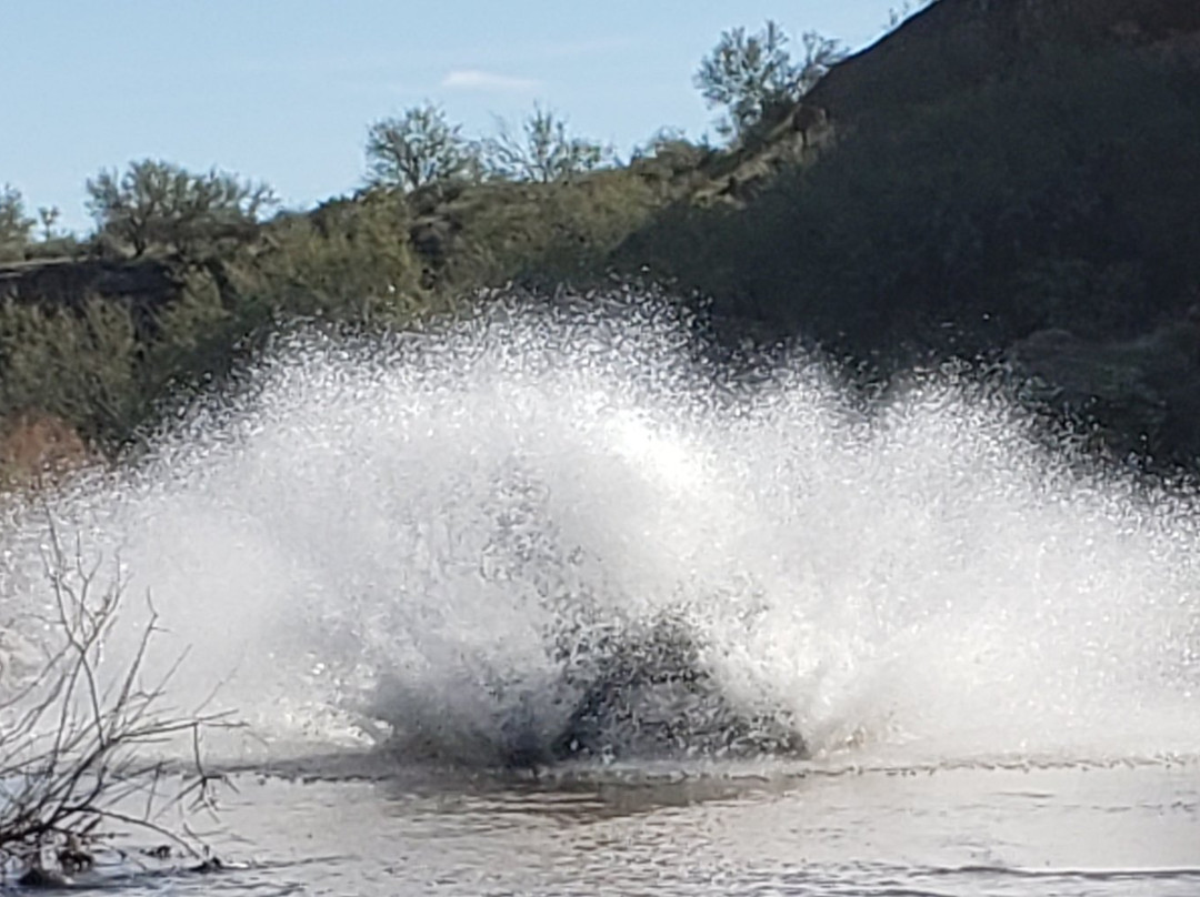 Size Matters-Buckeye必去景点