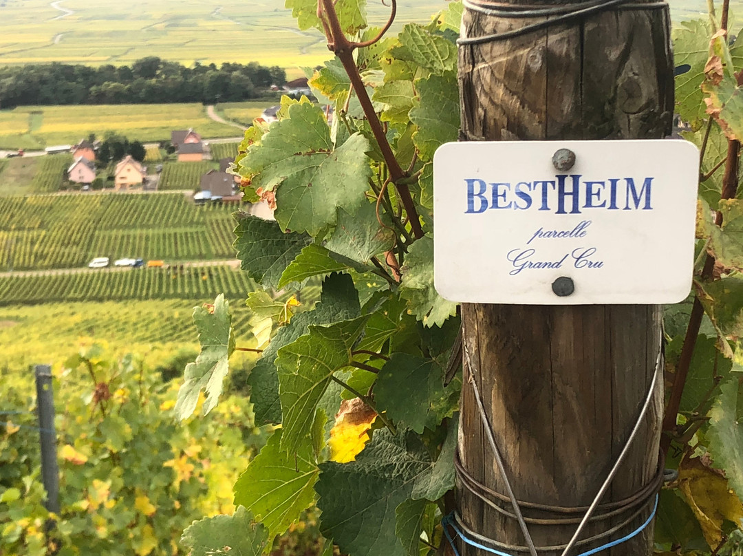 Bestheim-Westhalten必去景点