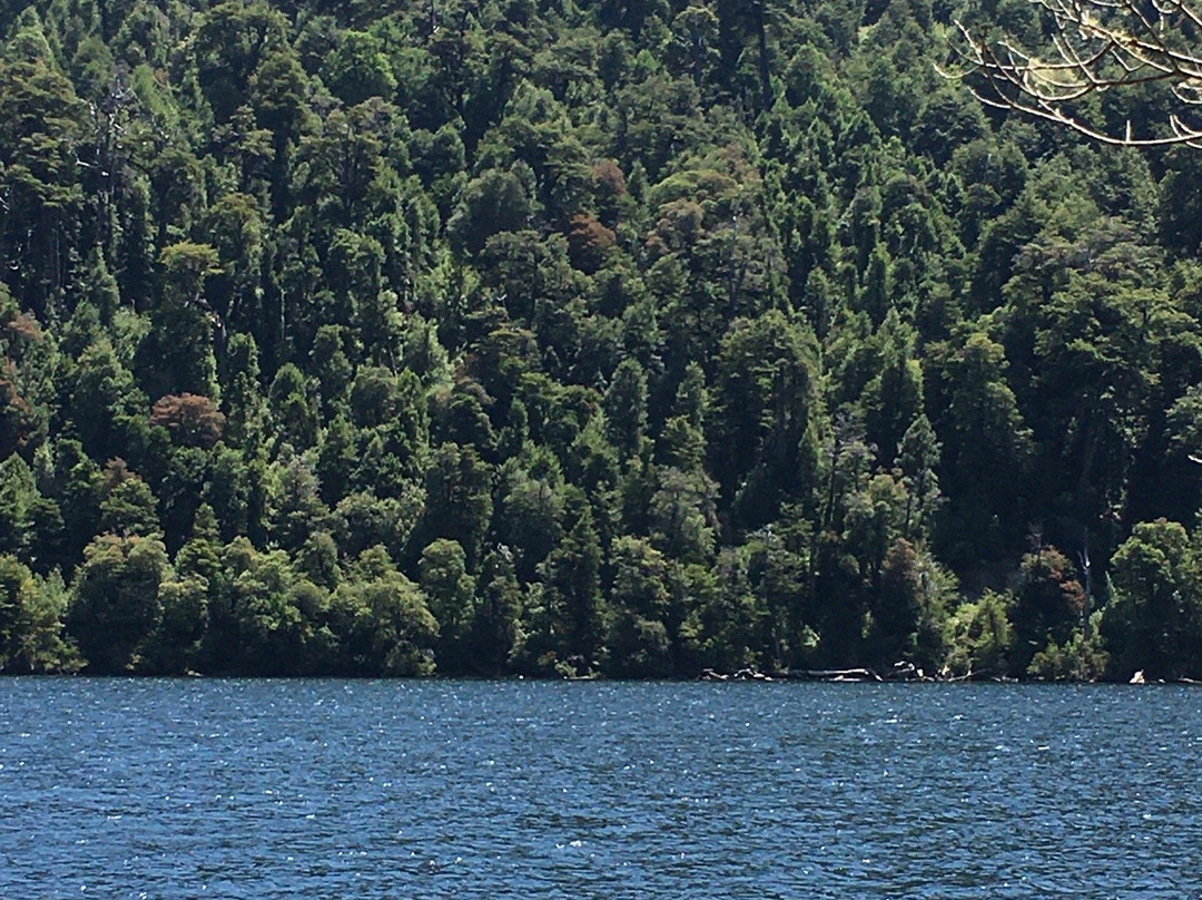 Lago Tinquilco-Caburgua必去景点