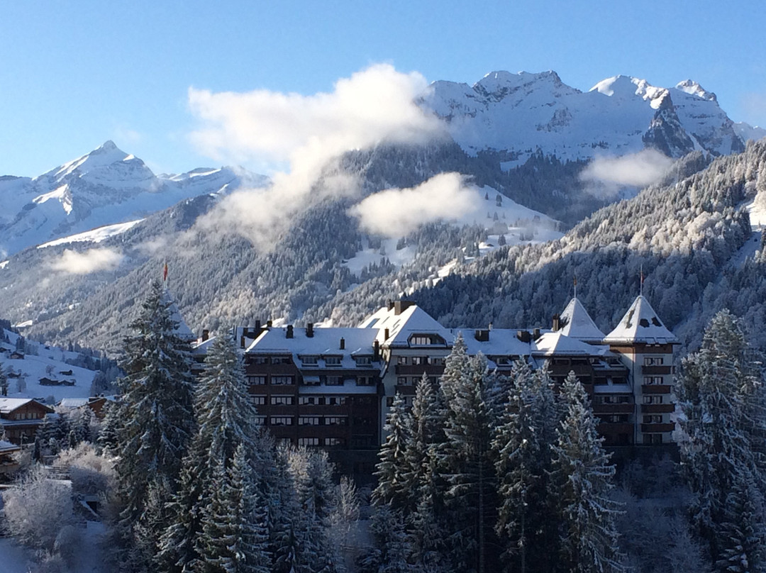 Hotel Le Grand Chalet Gstaad主图