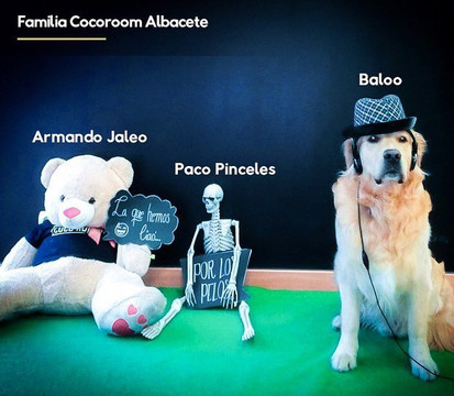 Coco Room Albacete Room Escape-阿尔瓦塞特必去景点