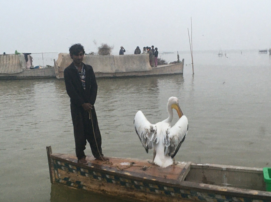 Manchar Lake-Sehwan必去景点