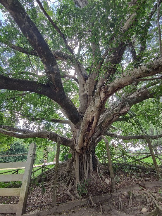 Primeira Casa de Caldas Novas-Caldas Novas必去景点