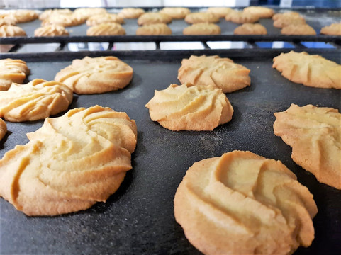 Work-shop Bakker Peeters-凯瑟尔必去景点